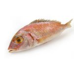 Denton Snapper