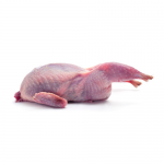 Quails