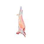 Whole Lamb