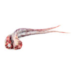 Beef Tail